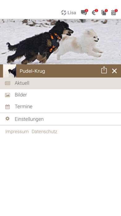 Pudel Krug by krugnow.com screenshot 2