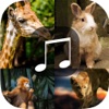 Animal Sounds - Tiger,Jaguar,Monster,Pig Squeal,Wo