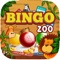 Bingo Zoo Casino