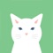 Meow Simulator APP is a magic app which is so cute, it can simulate the sound of a variety of state common cat