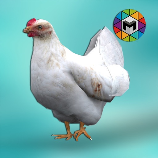 My Chicken Simulator iOS App