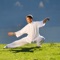 Take a master class in Tai Chi with this collection of more than 380 tuitional, training and informative videos