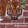Scratch Animals Quiz