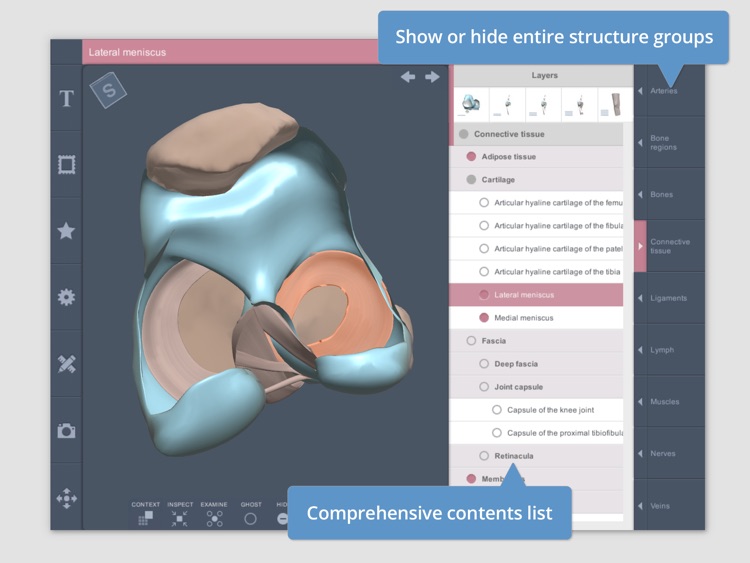 Knee: 3D Real-time Human Anatomy