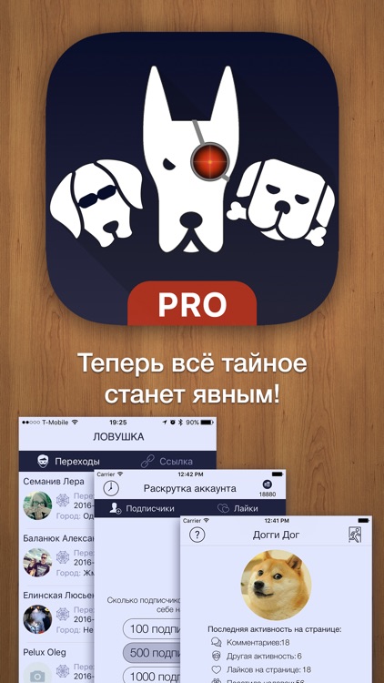 Статистика Вашей страницы «Версия для ВКонтакте»