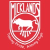 Micklands Primary School (RG4 6LU)