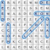 Professional WordSearch