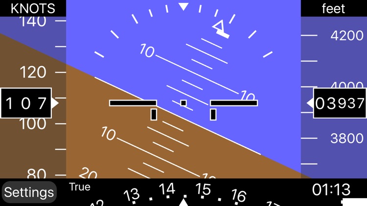 iBFD (integrated Backup Flight Display)
