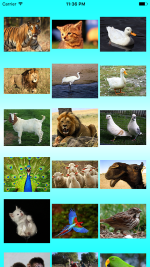 Animal Calls with bird sounds like an audio zoo(圖4)-速報App