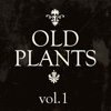 Old Plants 1