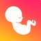 Life in the Womb is a mulit-award winning stunning visual guide to pregnancy that explores the developing baby’s amazing journey from conception to birth