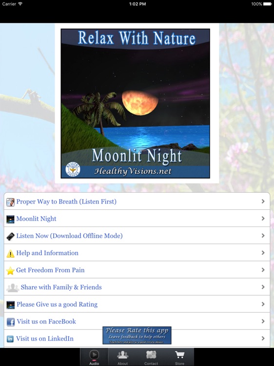 Moonlit Night for iPad