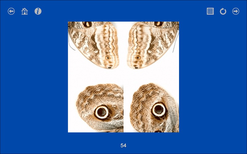 Turnings Image Puzzles Preschool thumbnail 4