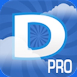 DealerPro