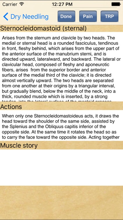 Dry Needling Therapy