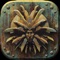 Uncover secrets of past lives in this story-rich, tactical roleplaying game set in Sigil, a dark fantasy city at the heart of the Dungeons & Dragons multiverse