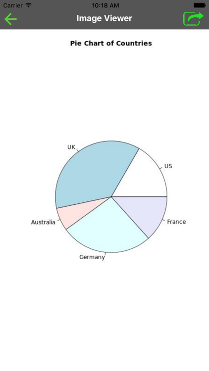 R Programming Language Compiler