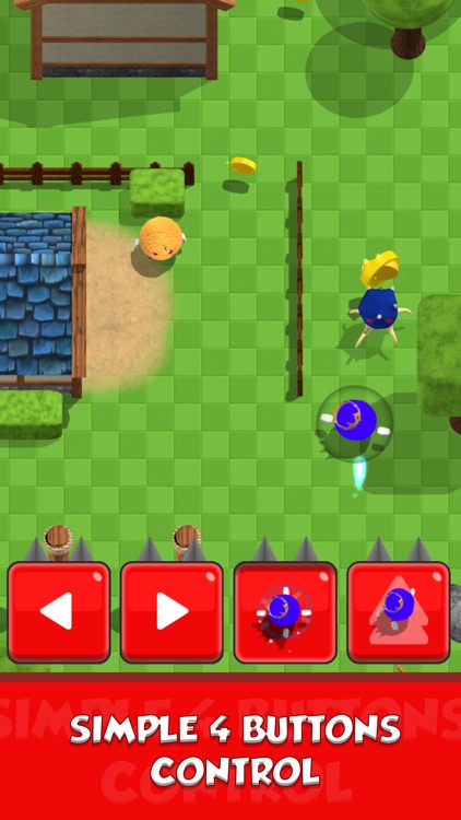 The Royal Run