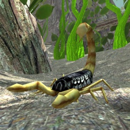 Scorpion Insect Simulator