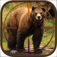 Activities of Bear Hunting - Challenge