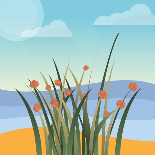 Coastal Plants