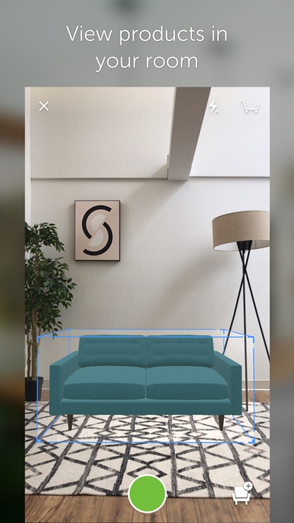 Houzz Interior Design Ideas