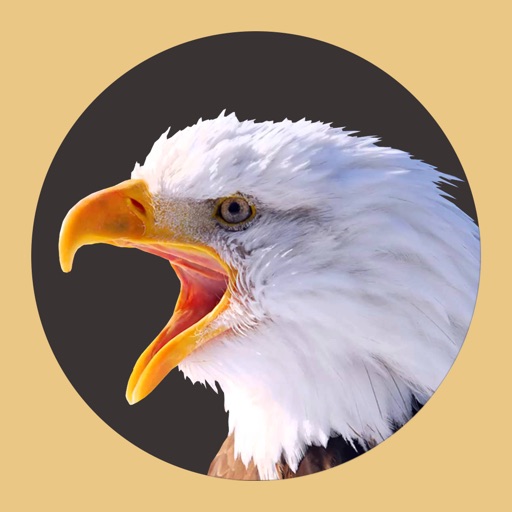Bald Eagle Sounds iOS App