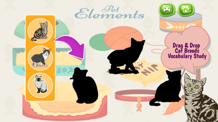 Cats And Kittens Shadow Matching Game