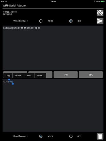 TCP/IP to Serial Terminal - náhled