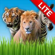 Activities of Zoo Sounds Lite - A Fun Animal Sound Game for Kids