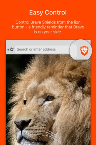 Brave Private Web Browser screenshot 2