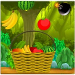 Fruits Catch