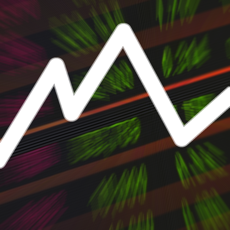 Activities of Trading Mogul