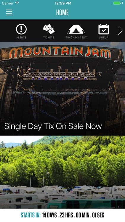 Mountain Jam Festival