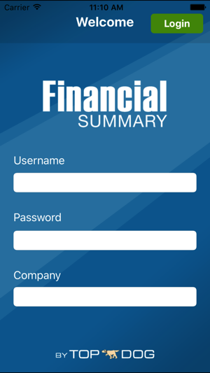 Financial Summary