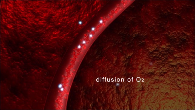 Oxidative Phosphorylation(圖3)-速報App