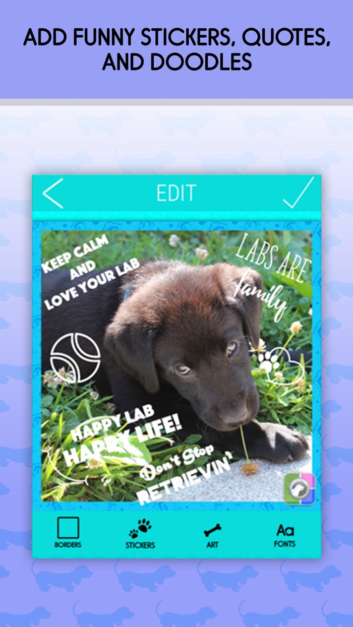 Pet Collage Maker and Edit.or