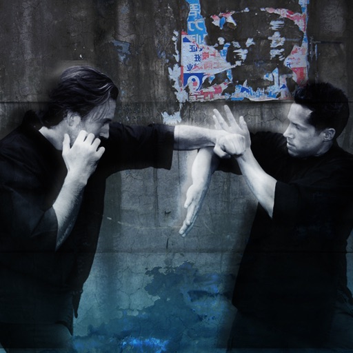 Street Fighting Skills Elite