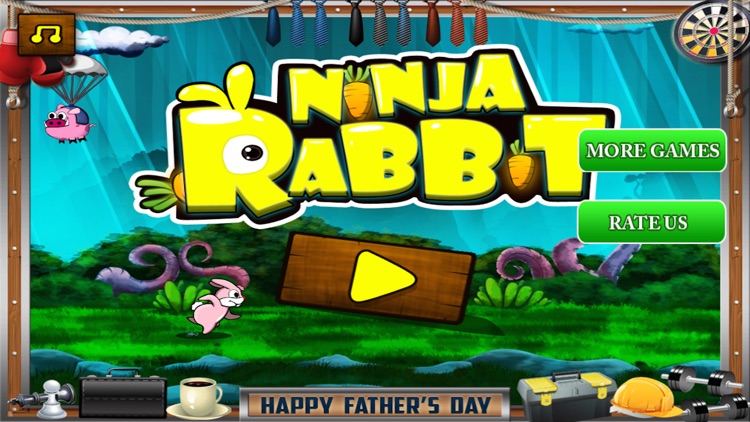 Ninja Rabbit Pro