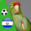 El Perico - Fútbol de Santa Tecla, El Salvador