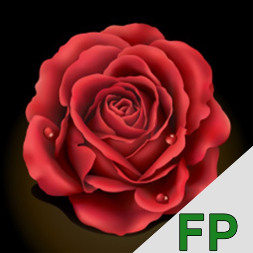 Bachelorette Fantasy Game by FansPlay