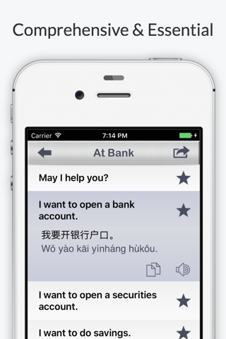 Financial Chinese Pro - Phrases & Vocabulary screenshot 3