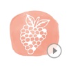 Animated Cute Fruit Stickers