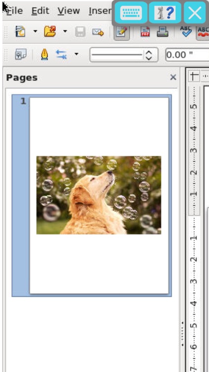 OffiDraw Graphics editor for draws