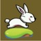 This game's goal is for rabbit to cross stepping stones in the forest