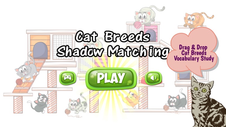 Cats And Kittens Shadow Matching Game screenshot-3