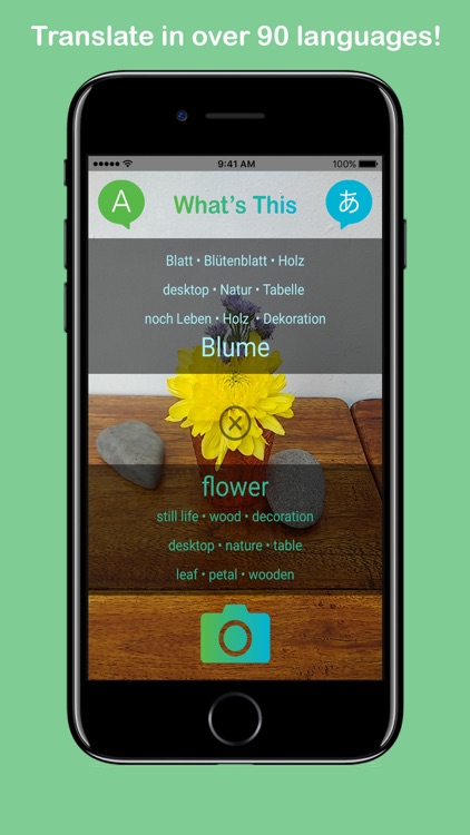 What's This - Translate Your World