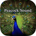 Top 29 Entertainment Apps Like Peacock - Chirping Sounds - Best Alternatives