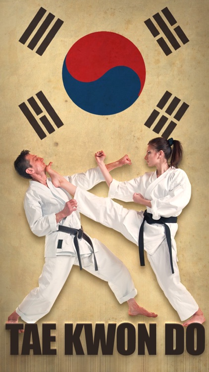 Tae Kwon Do Martial Arts Self Defense and Basics