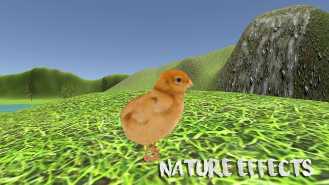 Chick Simulator(圖3)-速報App